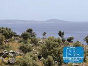 Agios Pavlos Kreta, Agios Pavlos: Erstaunlicher Landstrich in der Gegend von Volakas zu verkaufen Grundstück kaufen